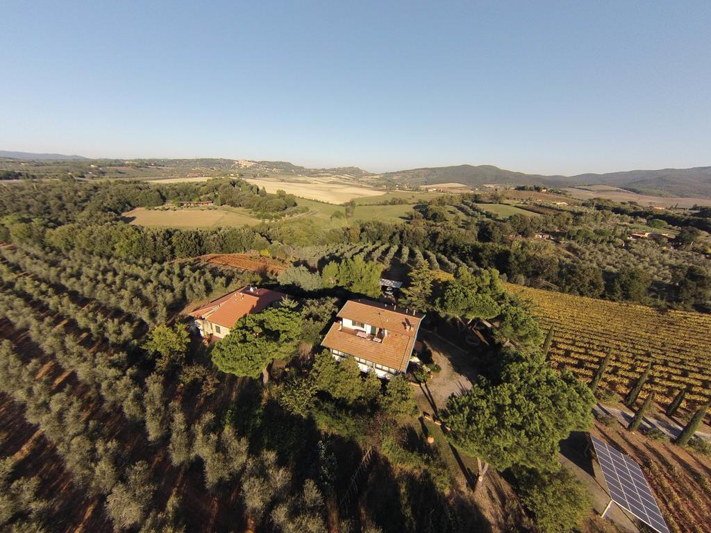 La Sassetta Villa Bibbona Buitenkant foto