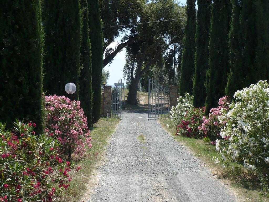 La Sassetta Villa Bibbona Buitenkant foto