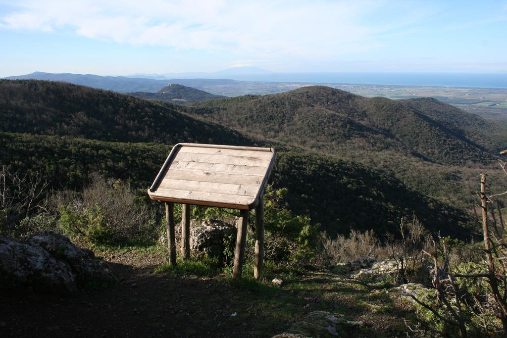 La Sassetta Villa Bibbona Buitenkant foto